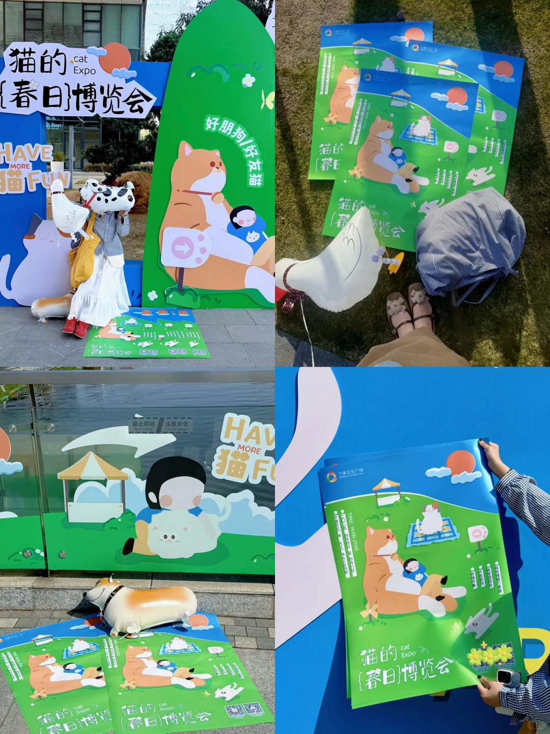 大事件?️宁波文化广场摇喵了❗️