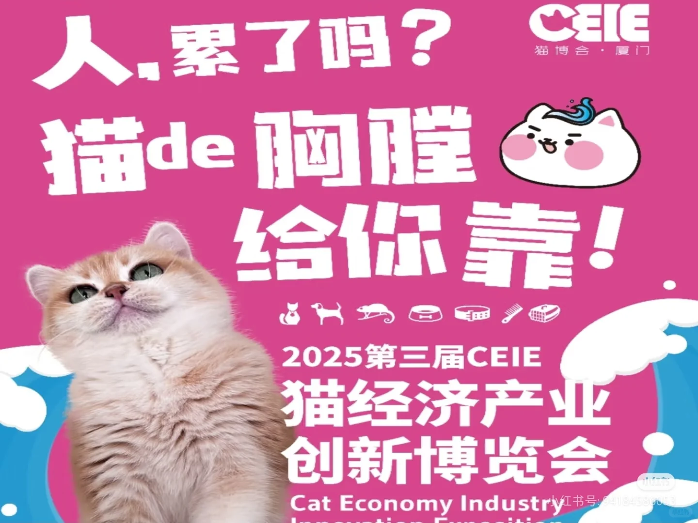 厦门宠物展明天就开展了,要去吗