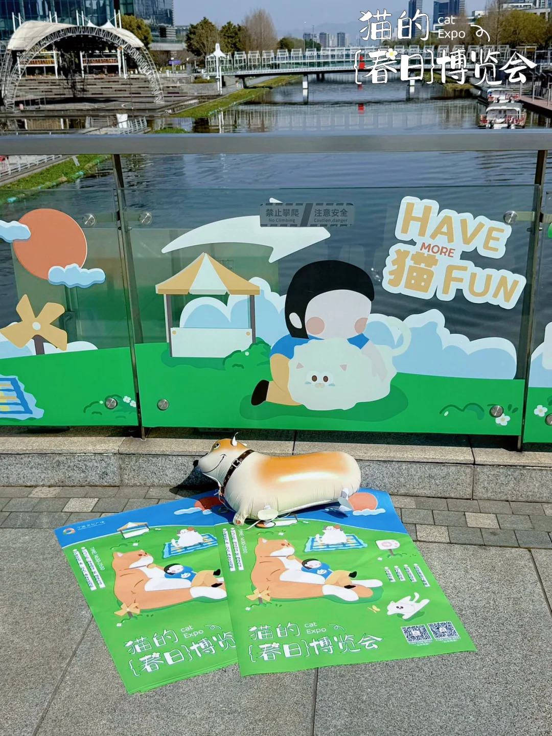 大事件?️宁波文化广场摇喵了❗️