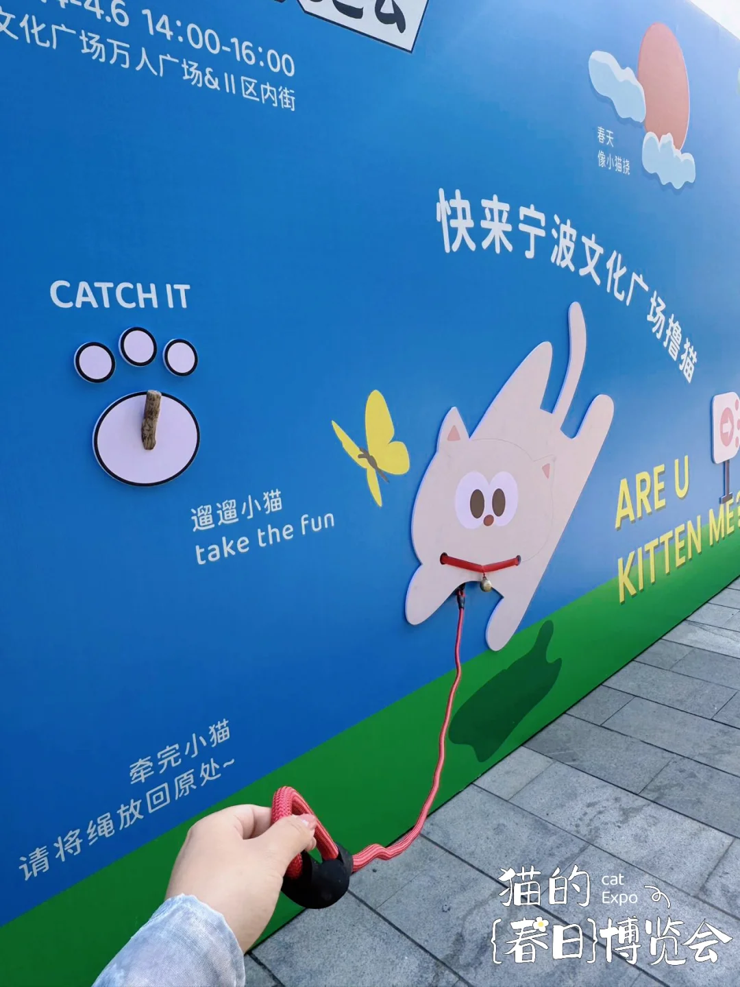 大事件?️宁波文化广场摇喵了❗️