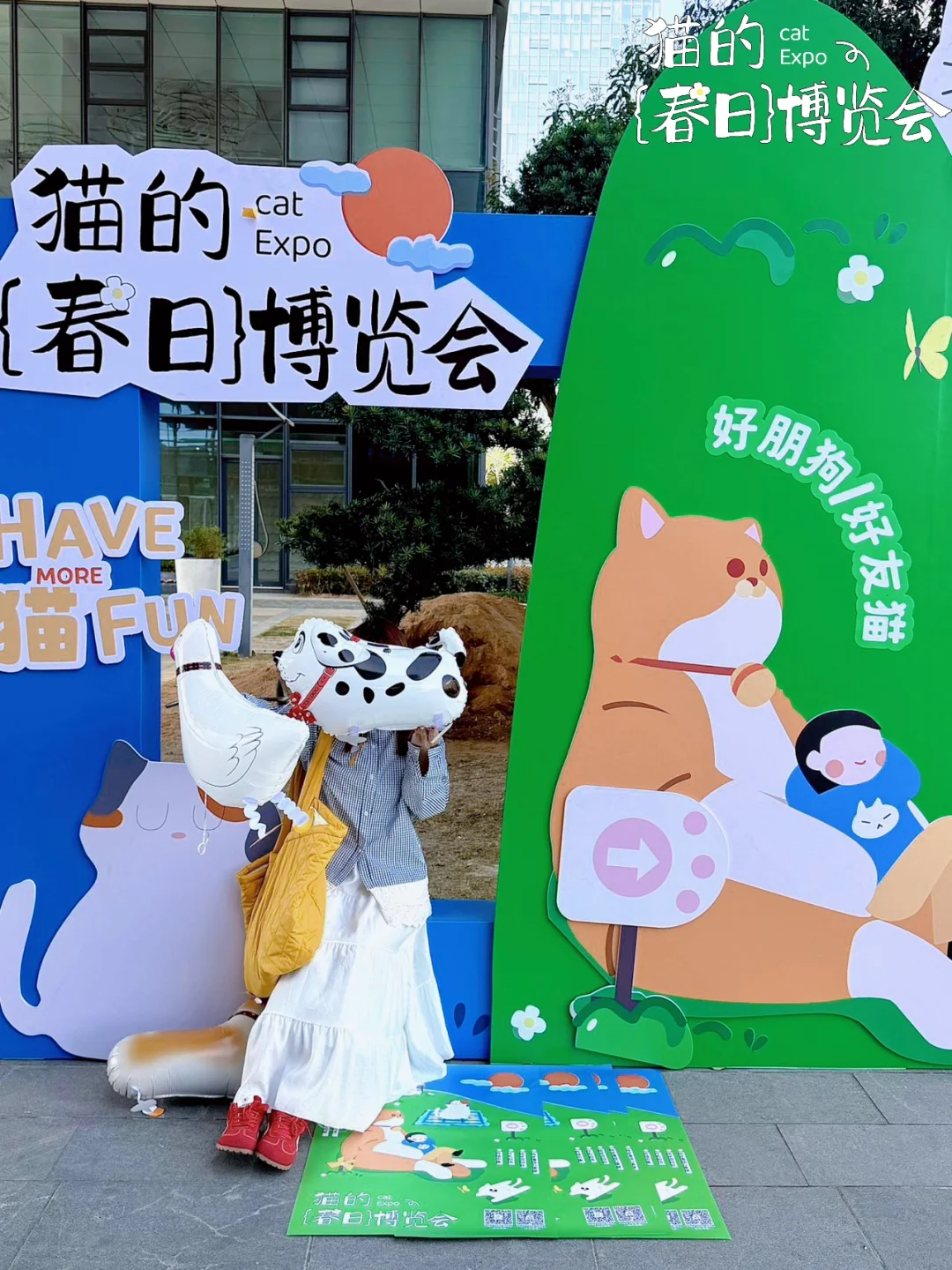 大事件?️宁波文化广场摇喵了❗️