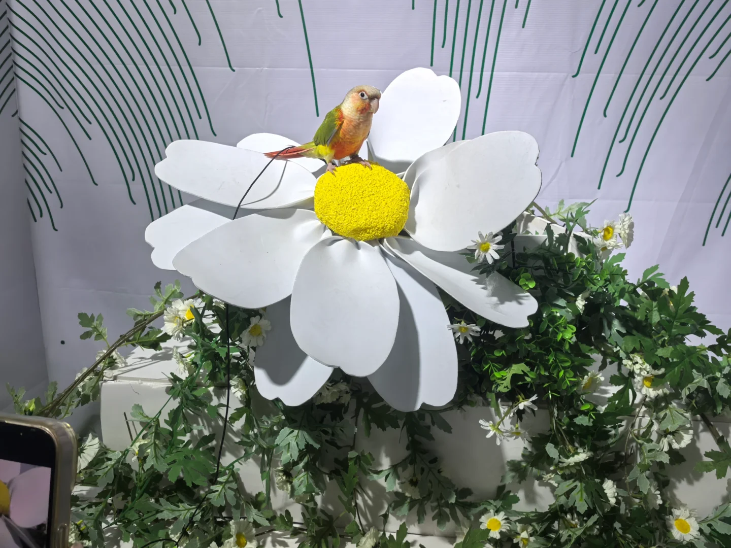 ?谁懂啊！逛完世界宠物博览会，我要养宠