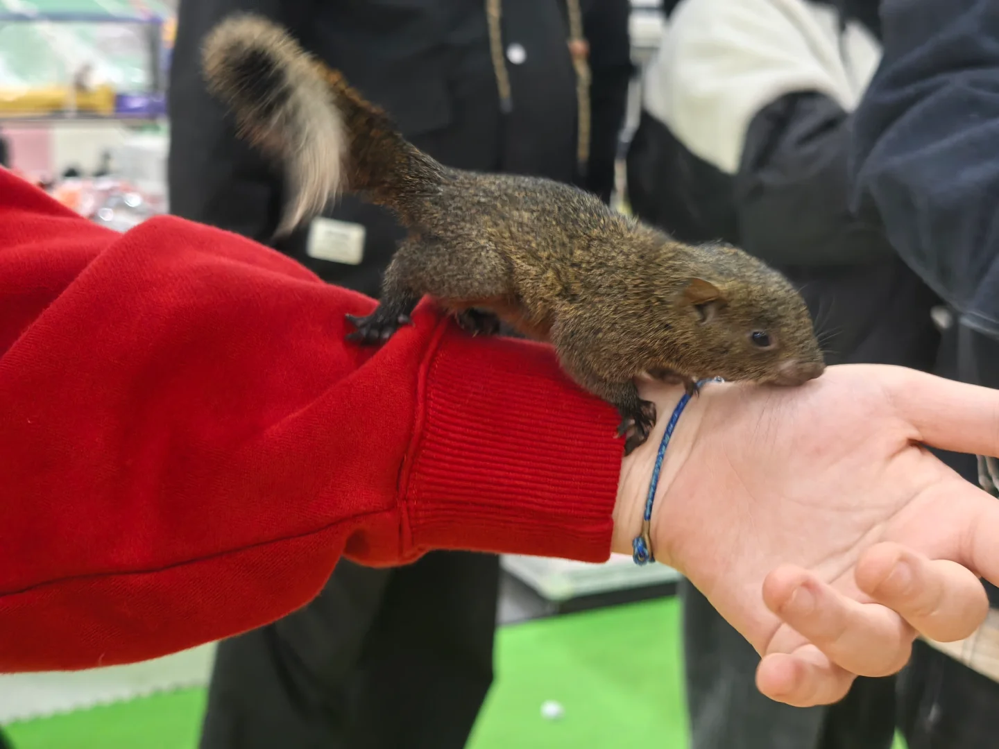 ?谁懂啊！逛完世界宠物博览会，我要养宠