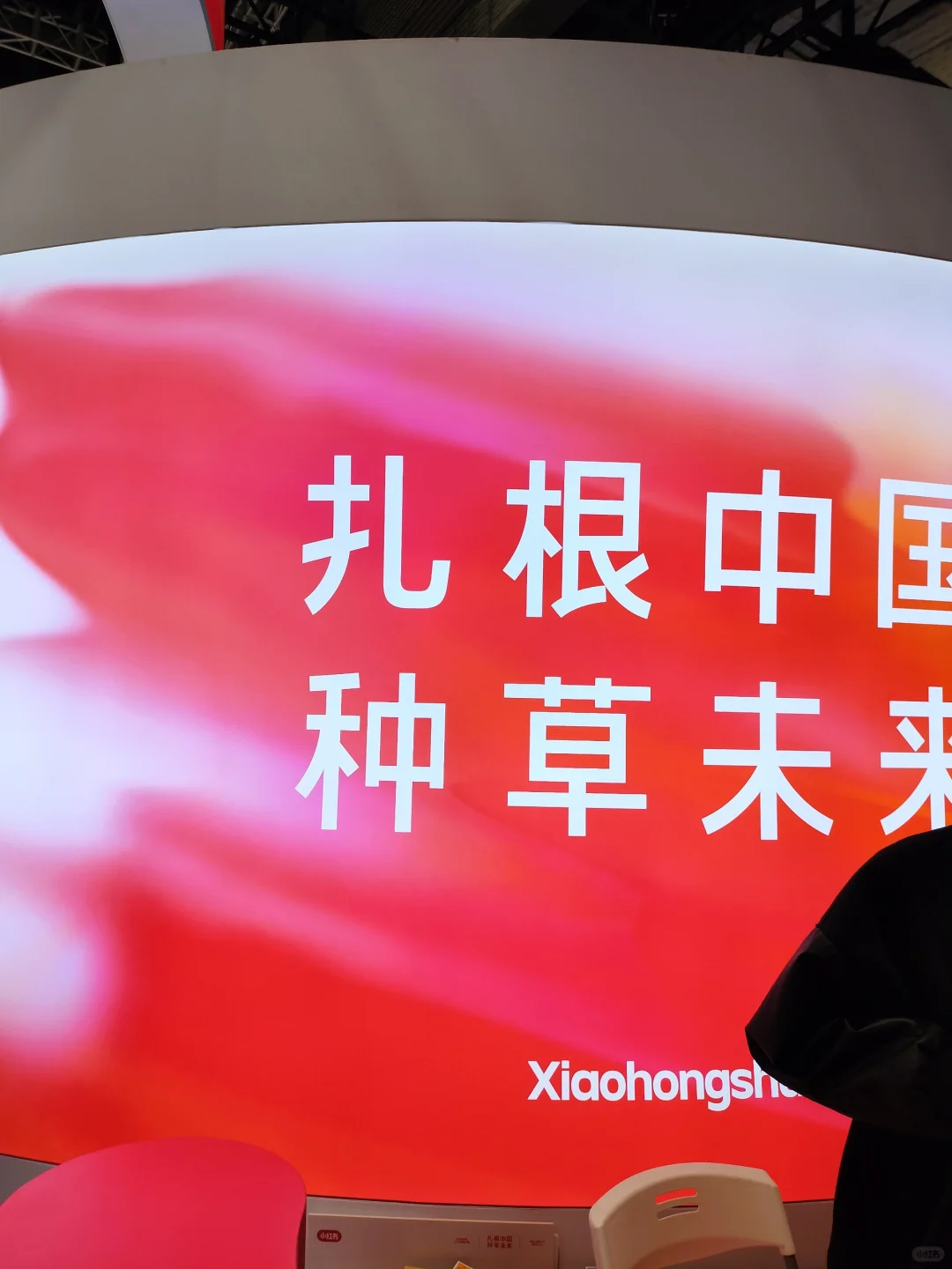 小红书2024进博在线