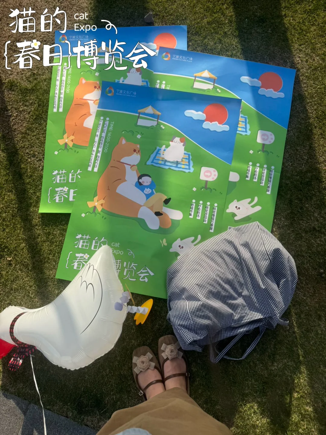 大事件?️宁波文化广场摇喵了❗️