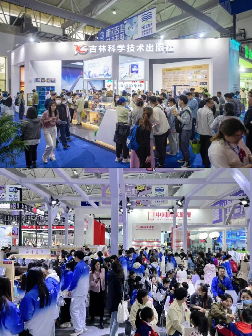 东北书博会 | 蓄势待发✨启幕在即‼️