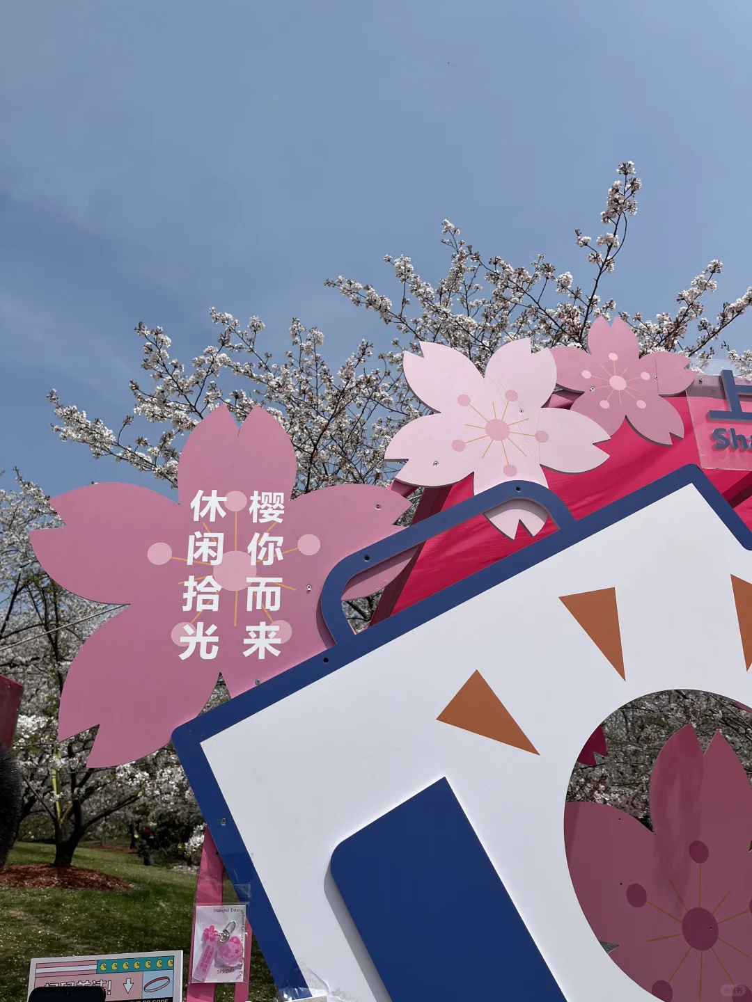上海国际休闲度假博览会樱花来啦