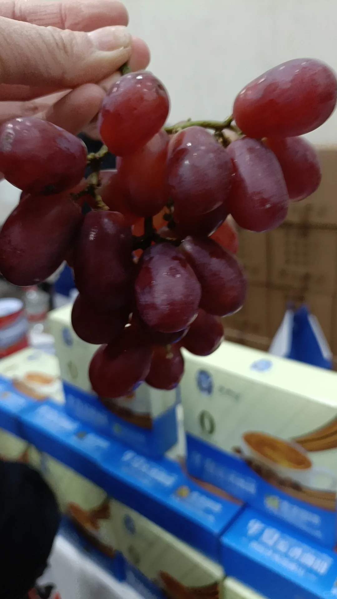 北展文房四宝博览会