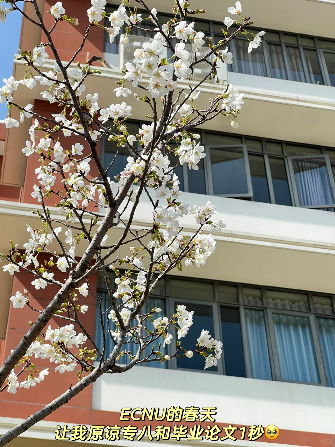 3月总结|稿费+2.5k 4月展会schedule