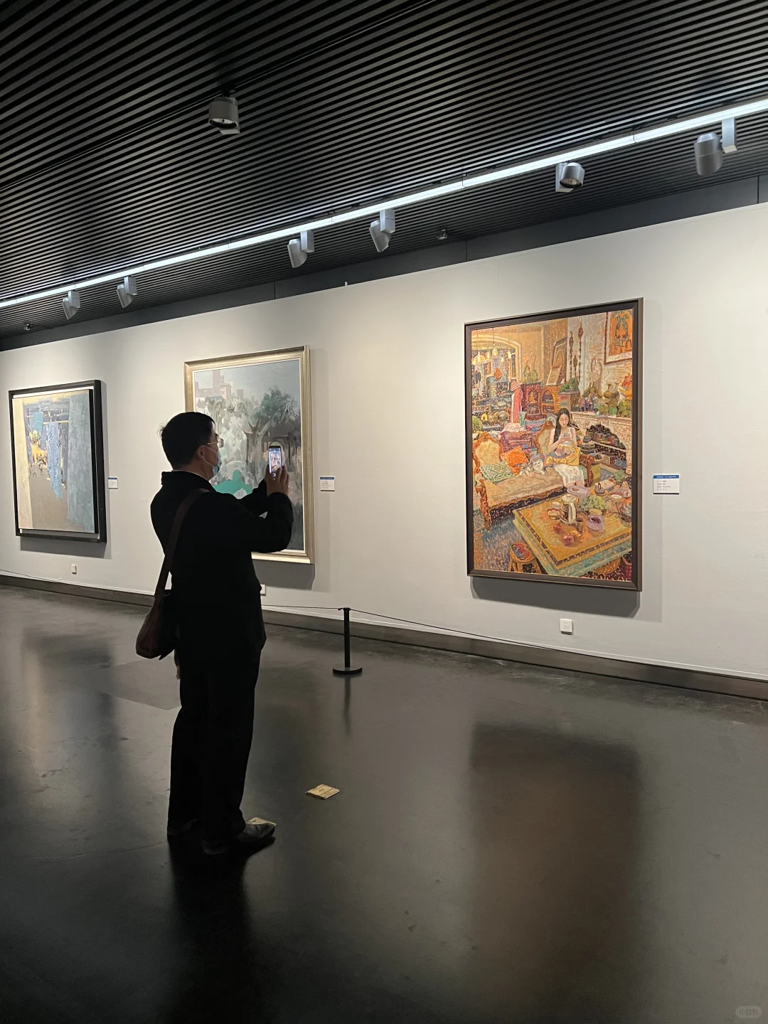 借红书友友们吉言 真的入选中美协的国展啦