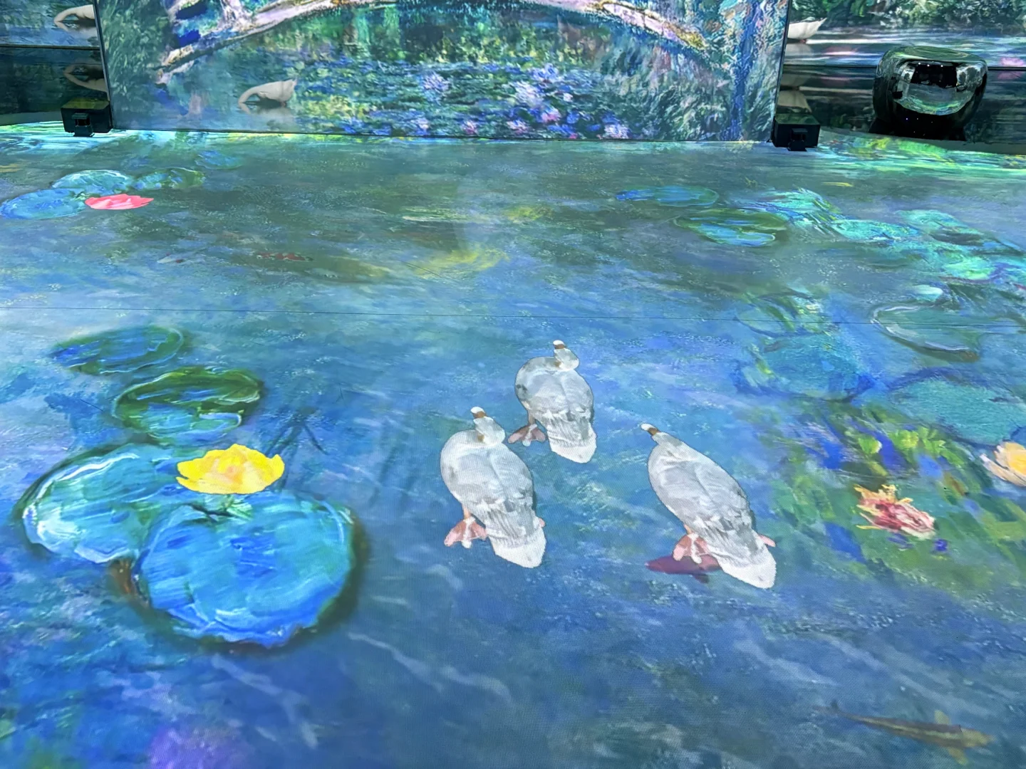 美到失语的光影展