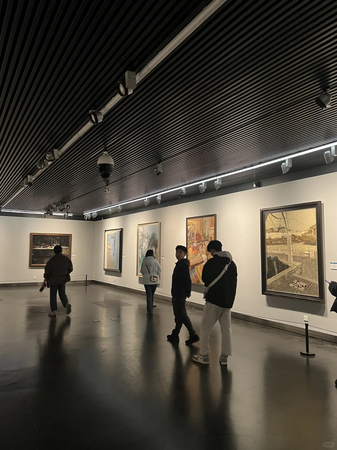 借红书友友们吉言 真的入选中美协的国展啦