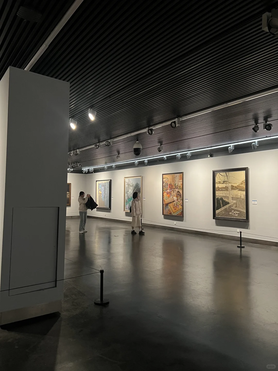 借红书友友们吉言 真的入选中美协的国展啦