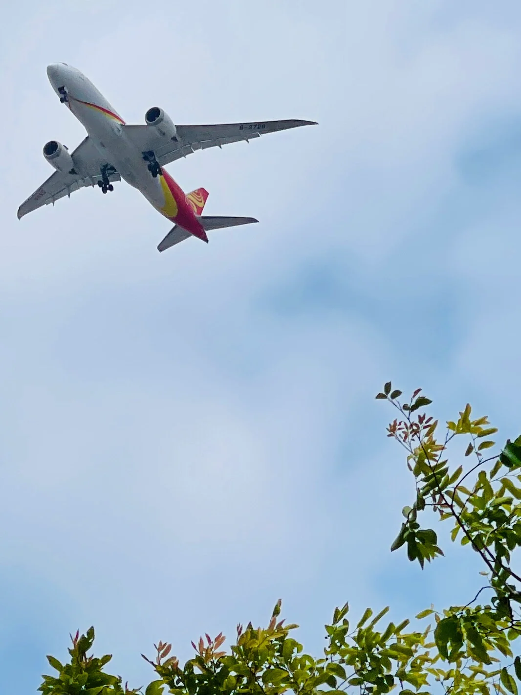 会展湾花园里看飞机又近又大