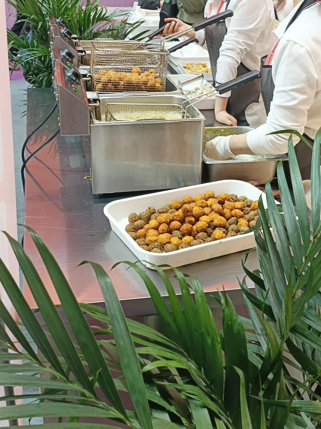 鸡柳大人免费吃！｜附上国家会展攻略