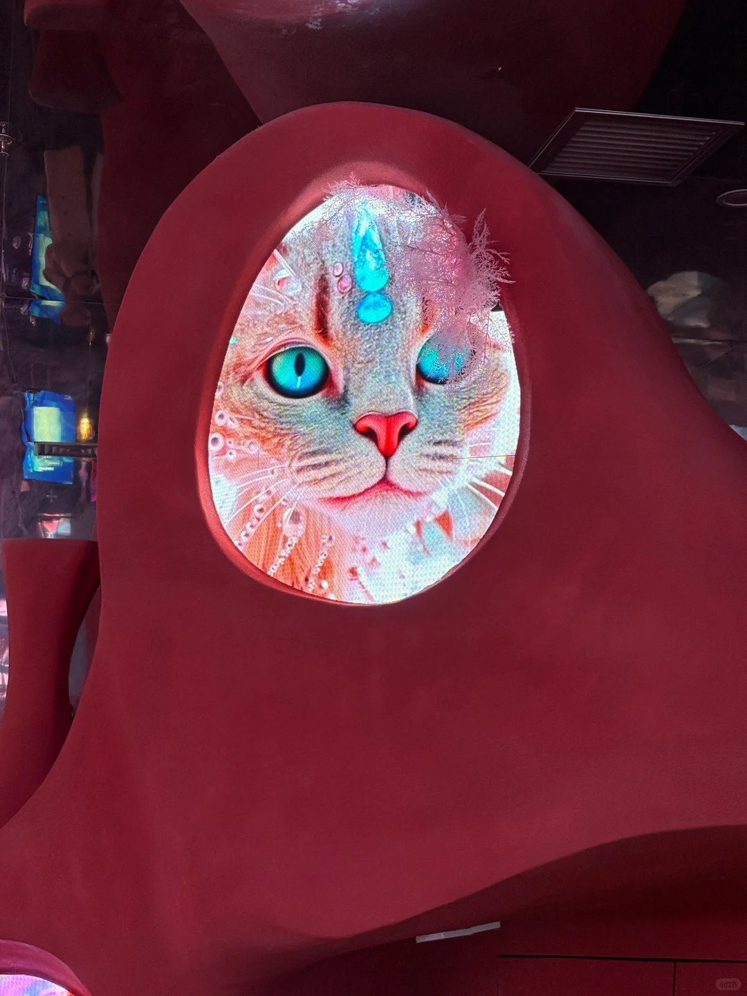 美到失语的光影展