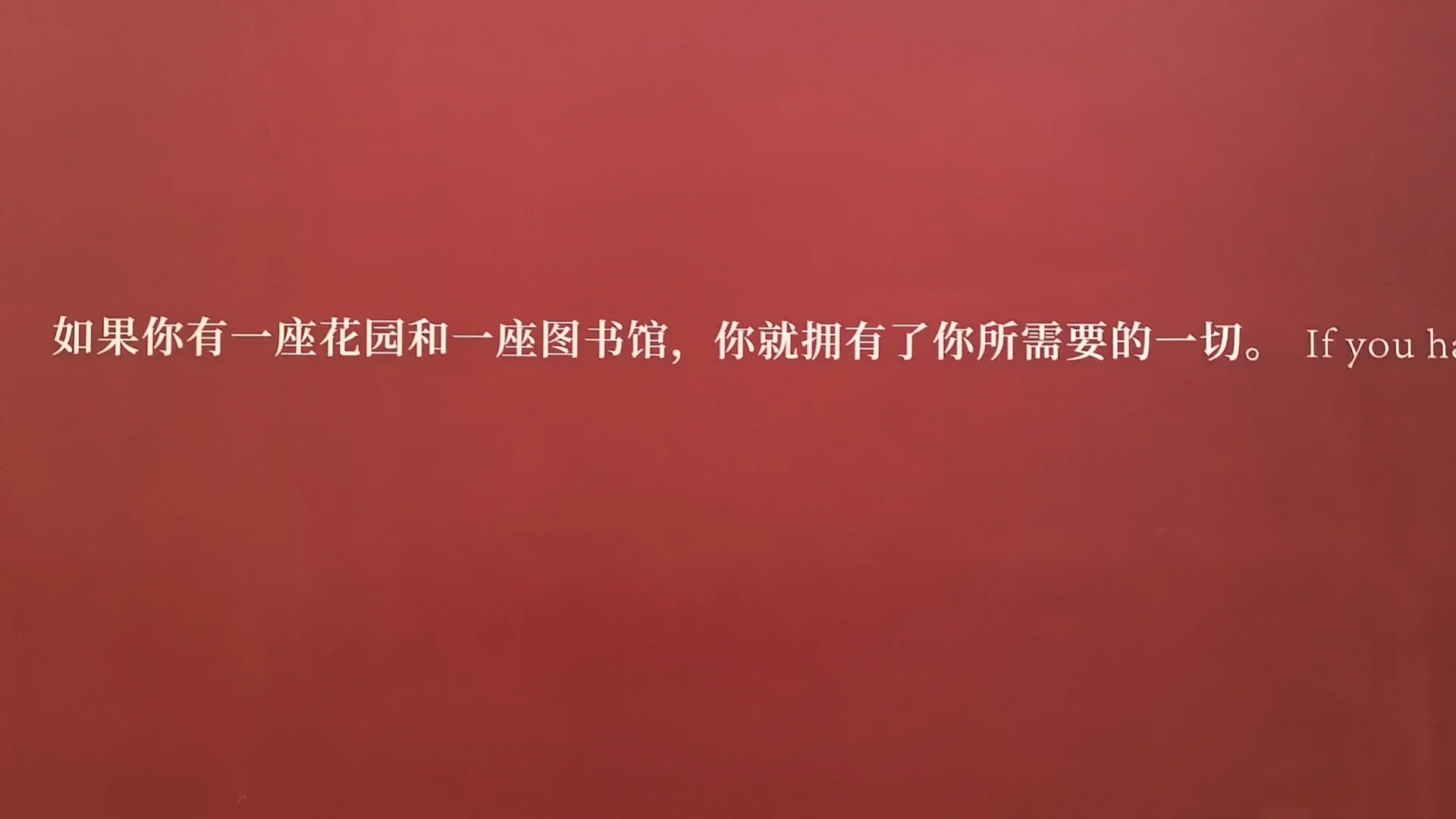 南京德基艺术博物馆花花世界