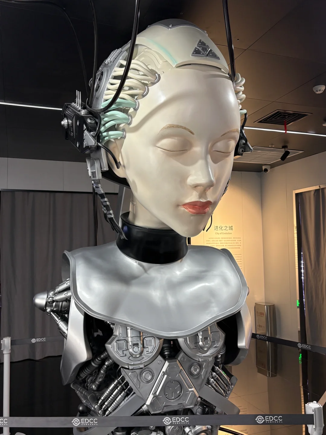 美到失语的光影展