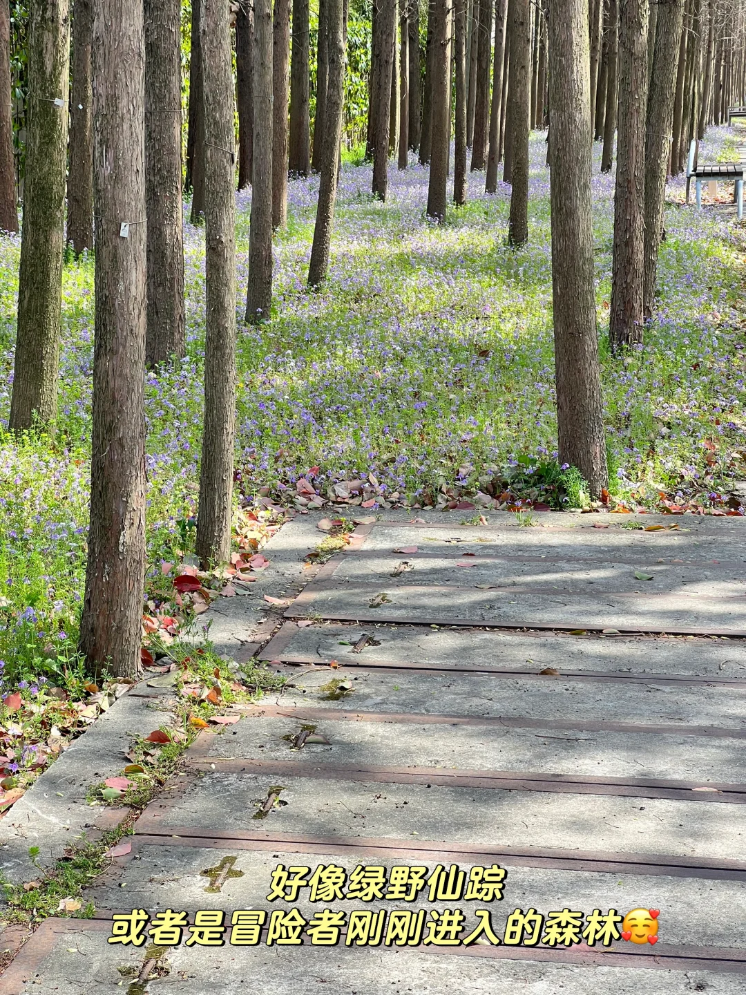 3月总结|稿费+2.5k 4月展会schedule