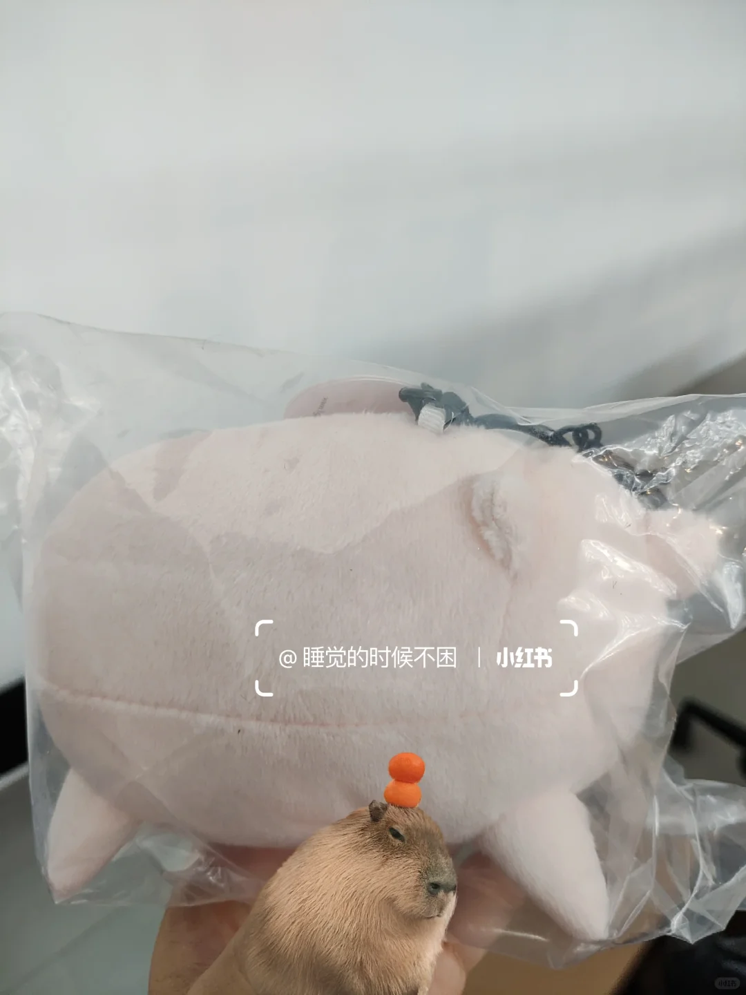 第55届CIFF广州国际家具展家博会 打卡攻略