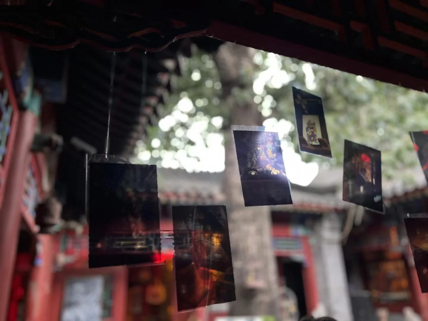 3.28-3.30｜下地艺术展