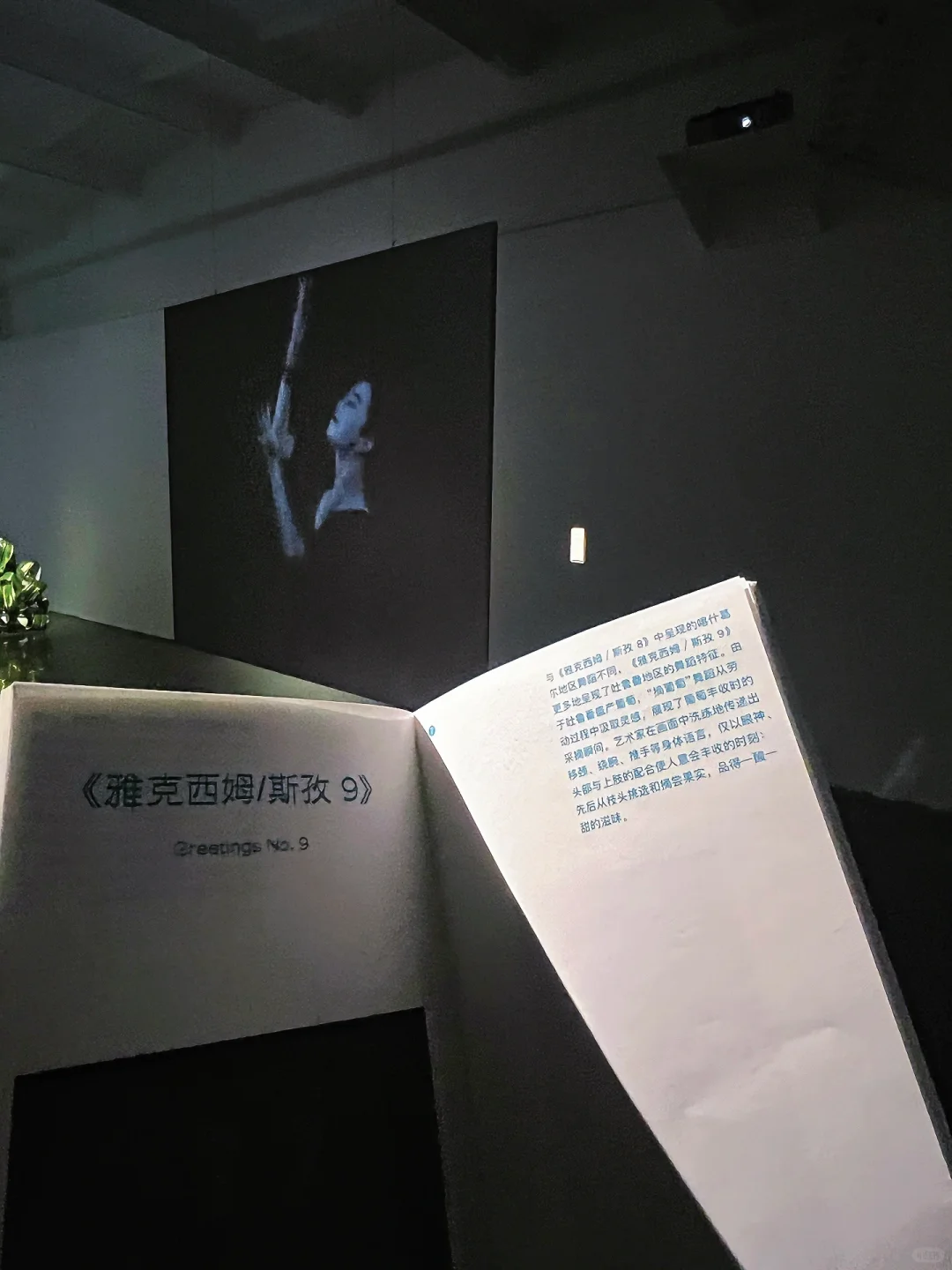 798新展！沉浸互动装置「信任坠落」个展开幕！！