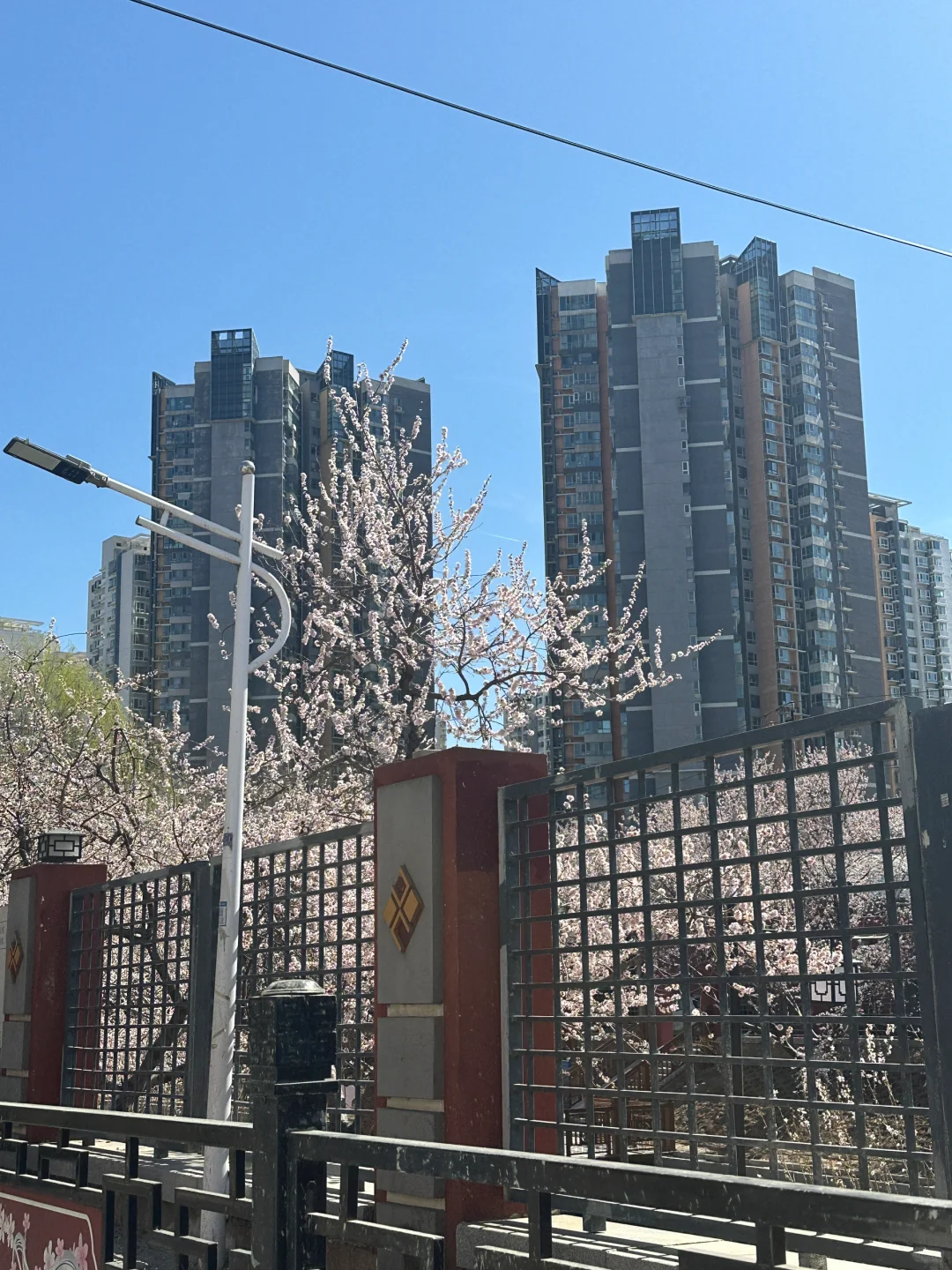 Plog日常：AWE展会溜达的一天