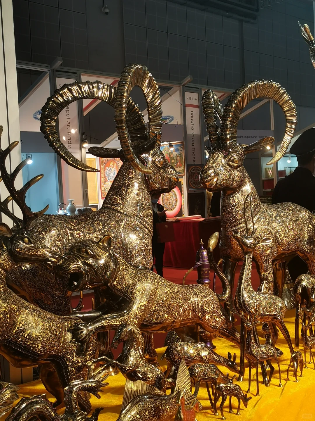 上海进博会真的太好逛了！明年继续冲！