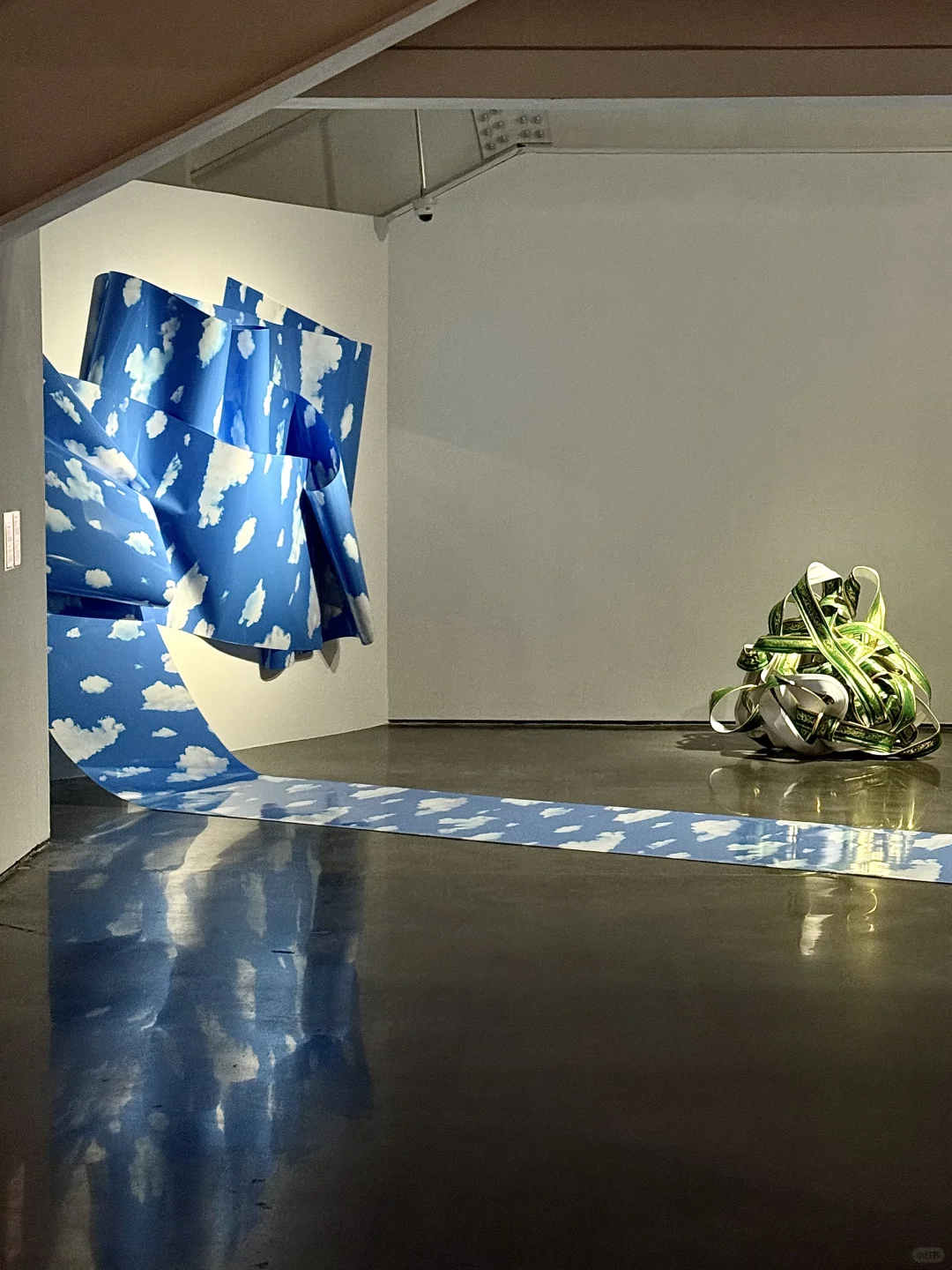 北京看展｜798巨新互动展?️双展来袭??