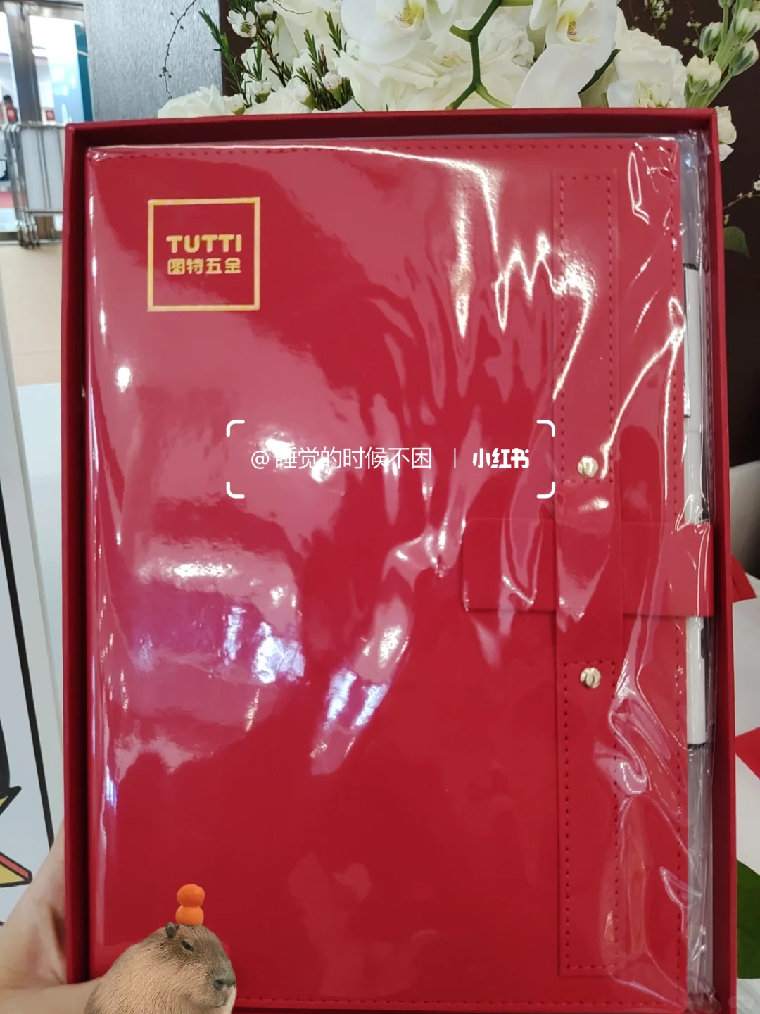 第55届CIFF广州国际家具展家博会 打卡攻略