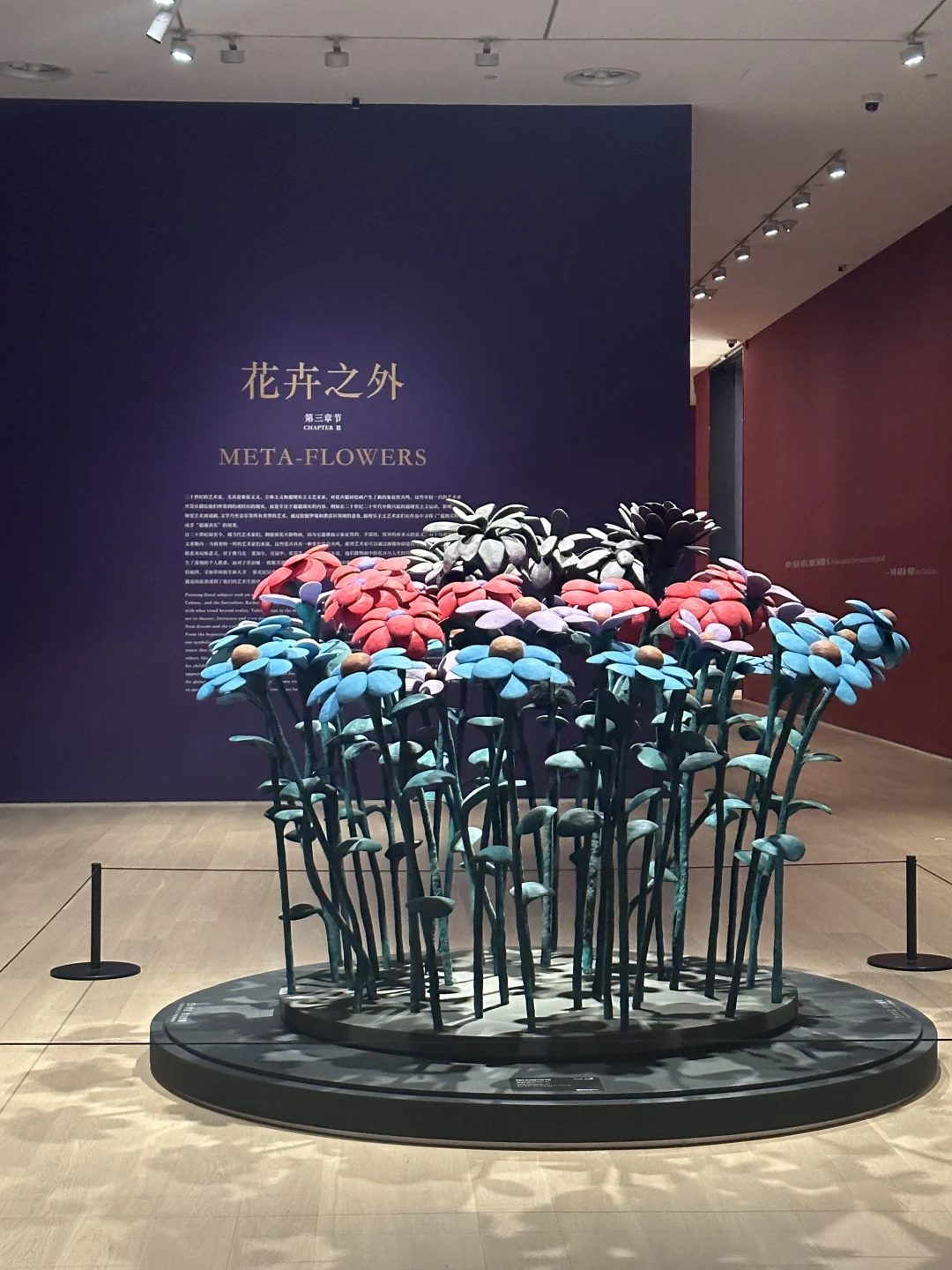 南京德基艺术博物馆花花世界