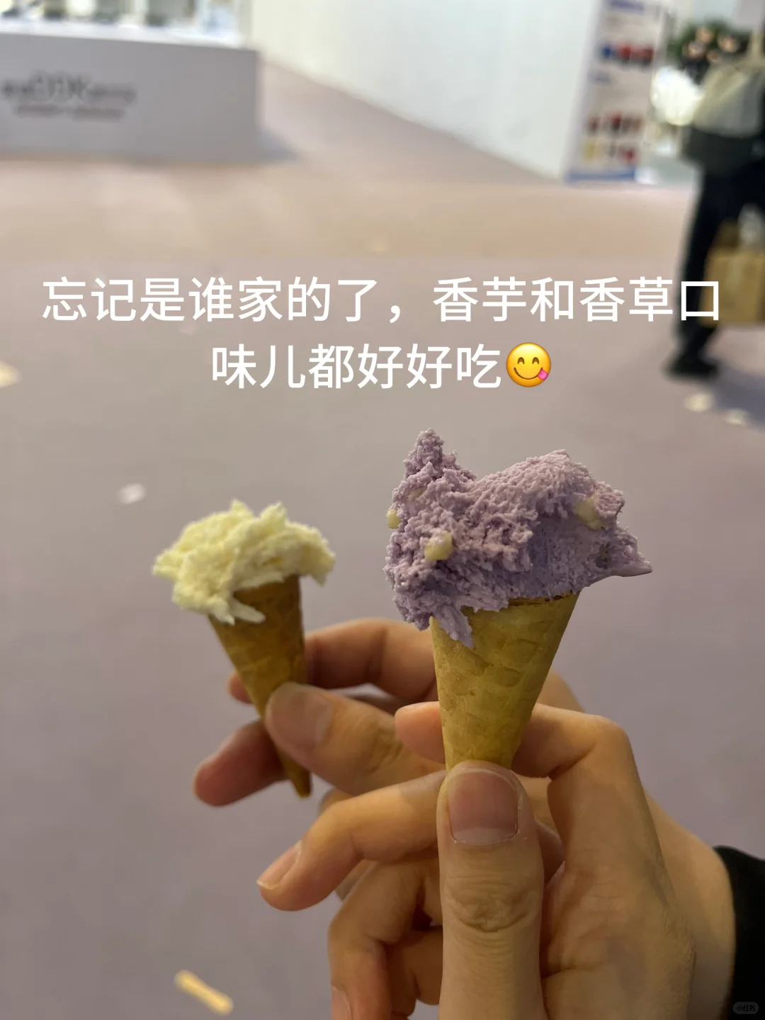 什么博览会，明明是免费小吃街?