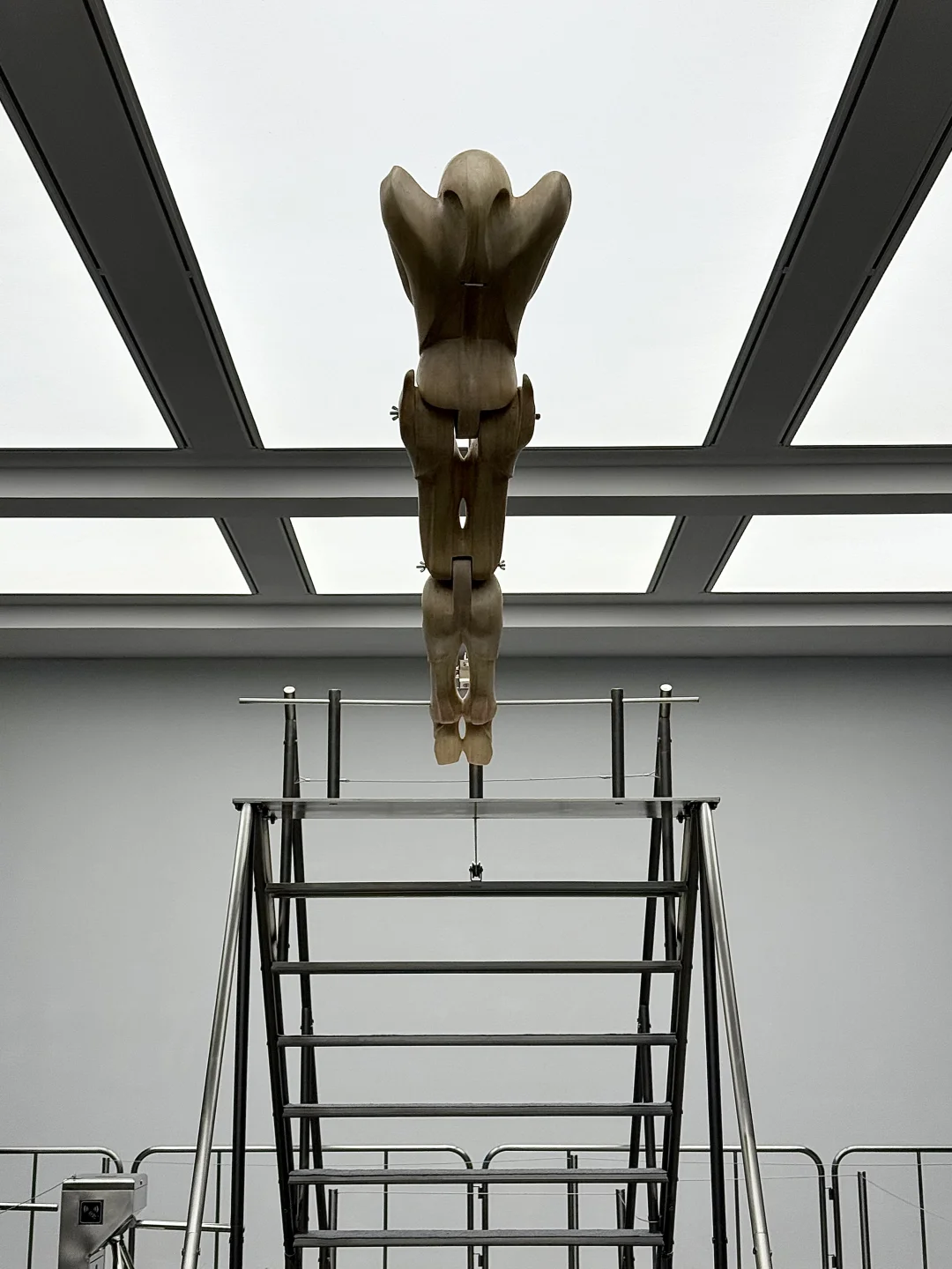 北京看展｜798巨新互动展?️双展来袭??