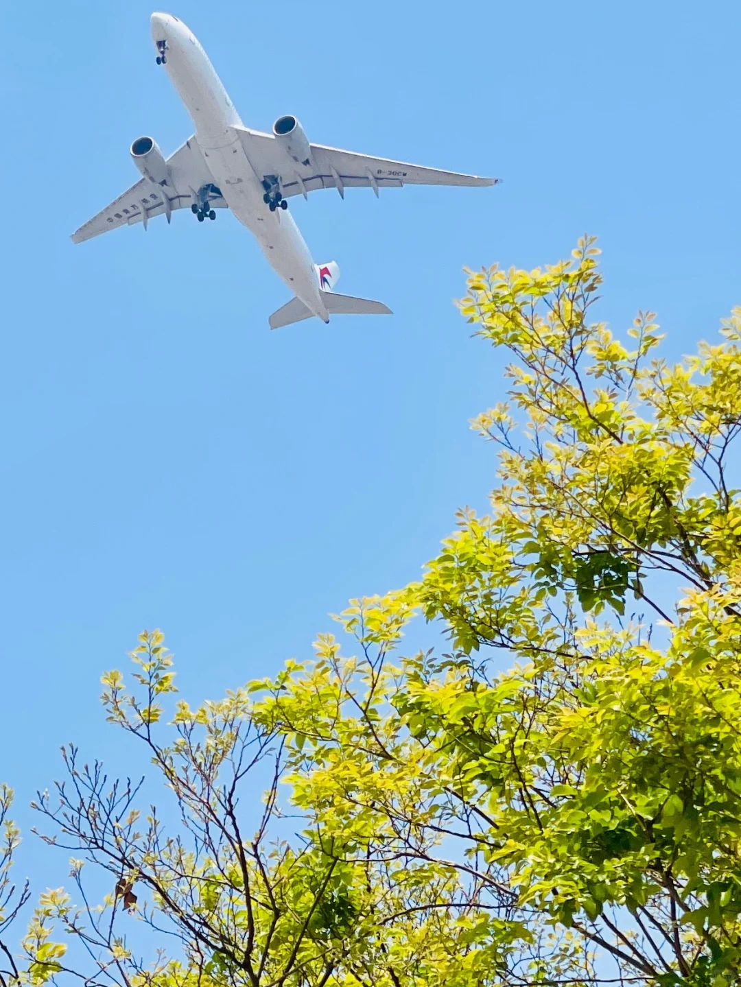 会展湾花园里看飞机又近又大