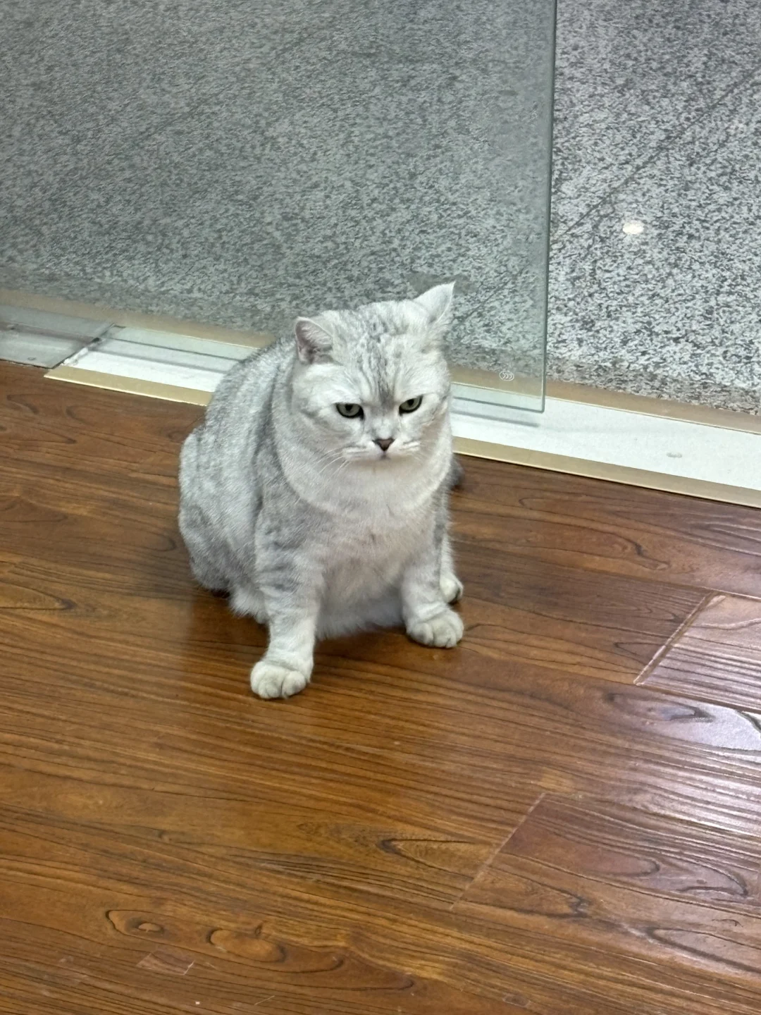 会展附近招人事啦