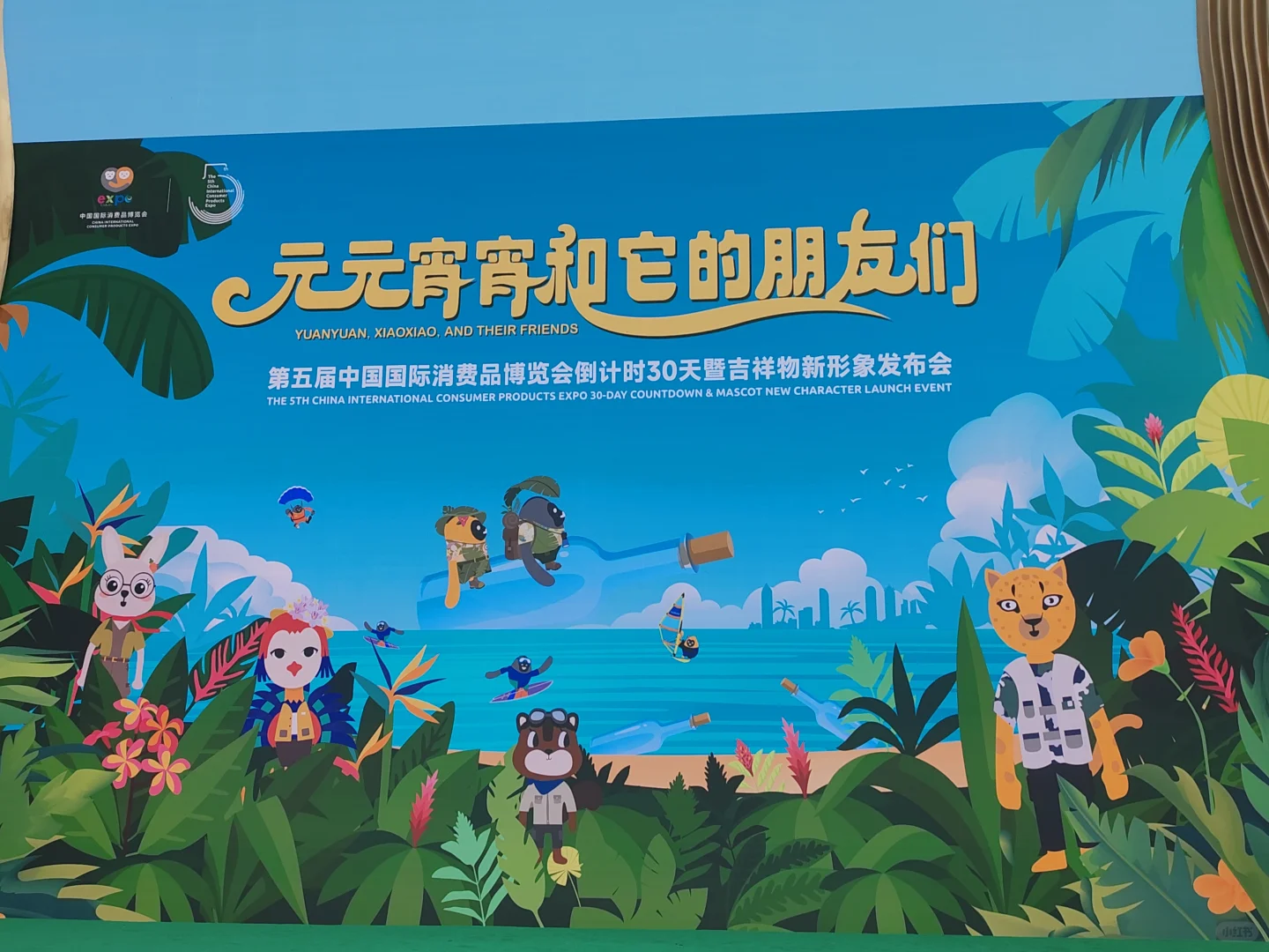 元元宵宵和它的朋友们见面了