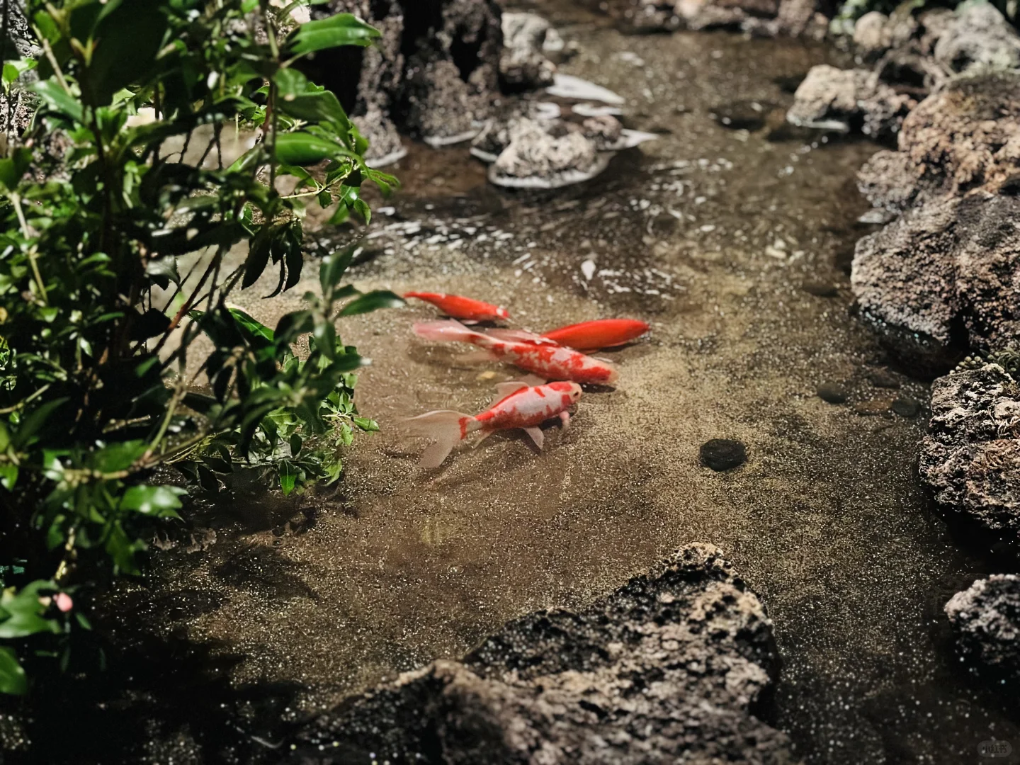 东京展会神仙合作！老板满意到请客+预定下次