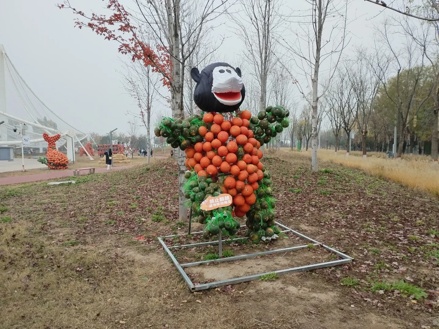 邯郸园博园南瓜王博览会