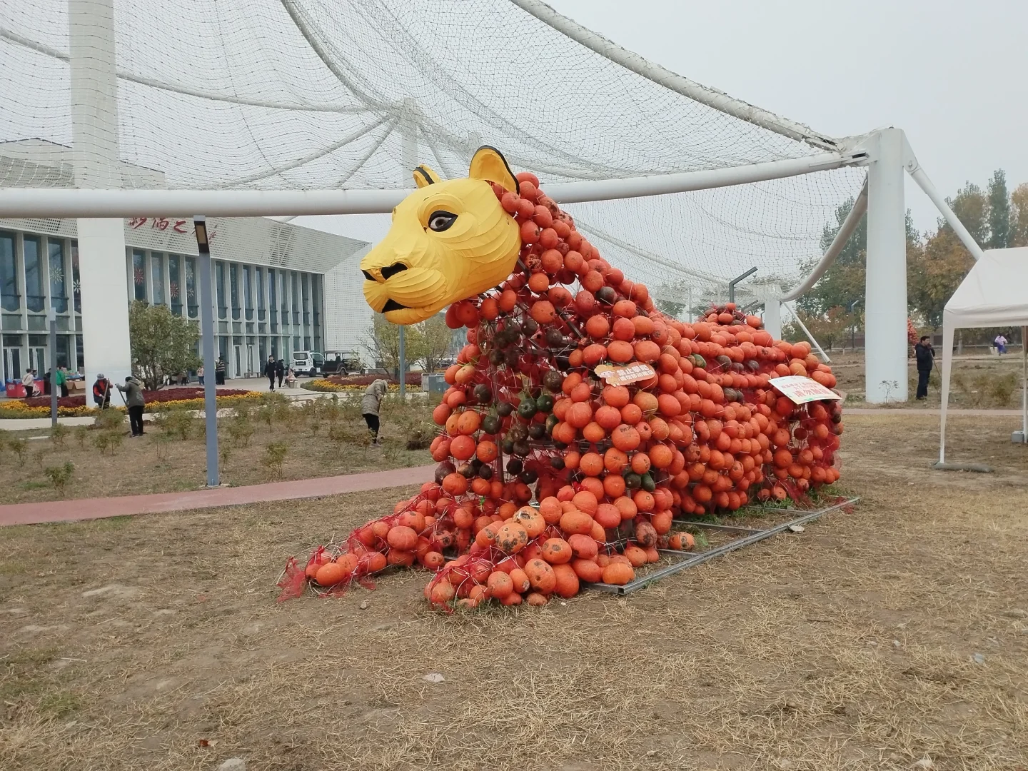 邯郸园博园南瓜王博览会