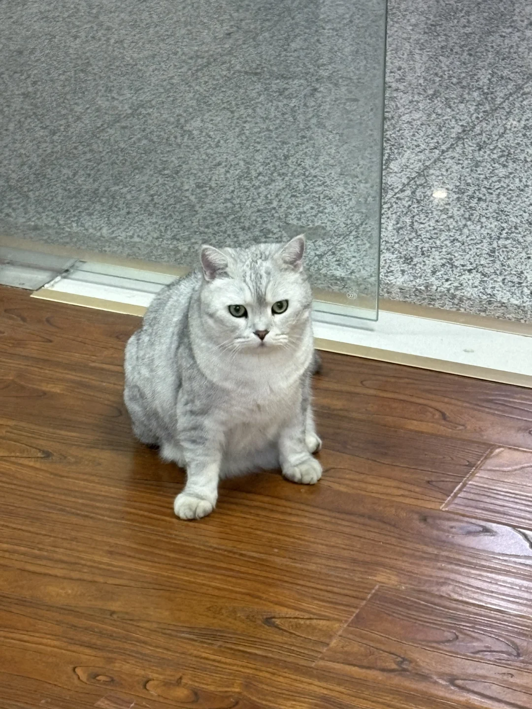 会展附近招人事啦