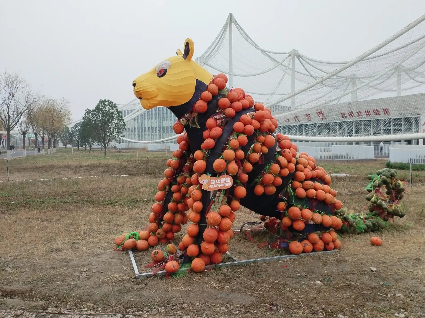 邯郸园博园南瓜王博览会