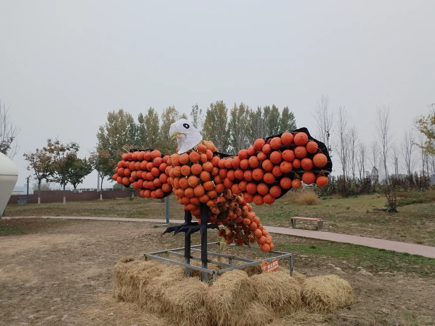 邯郸园博园南瓜王博览会