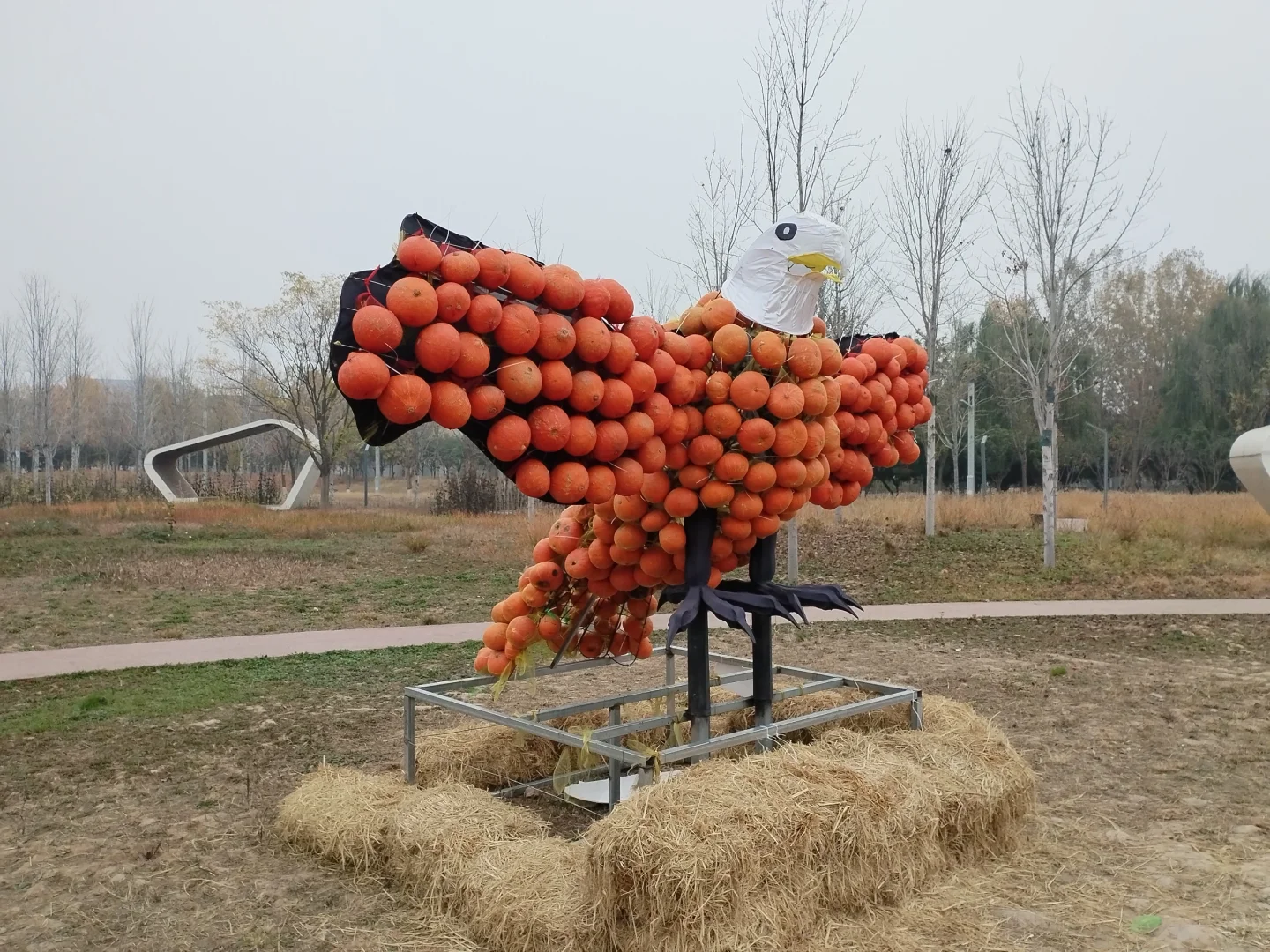 邯郸园博园南瓜王博览会