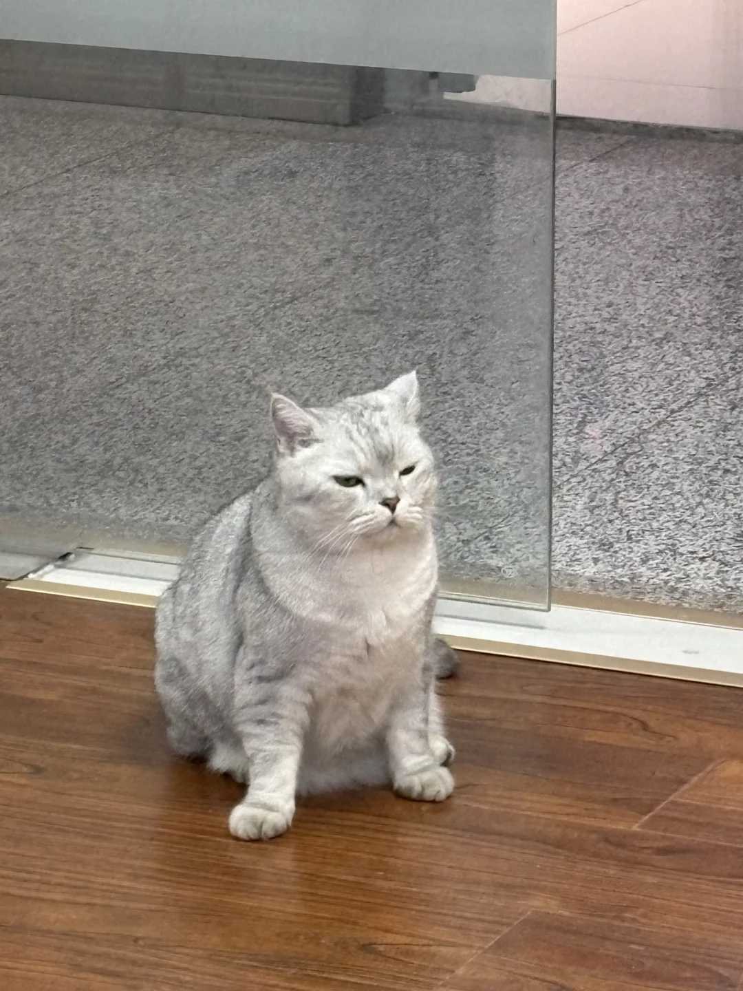 会展附近招人事啦