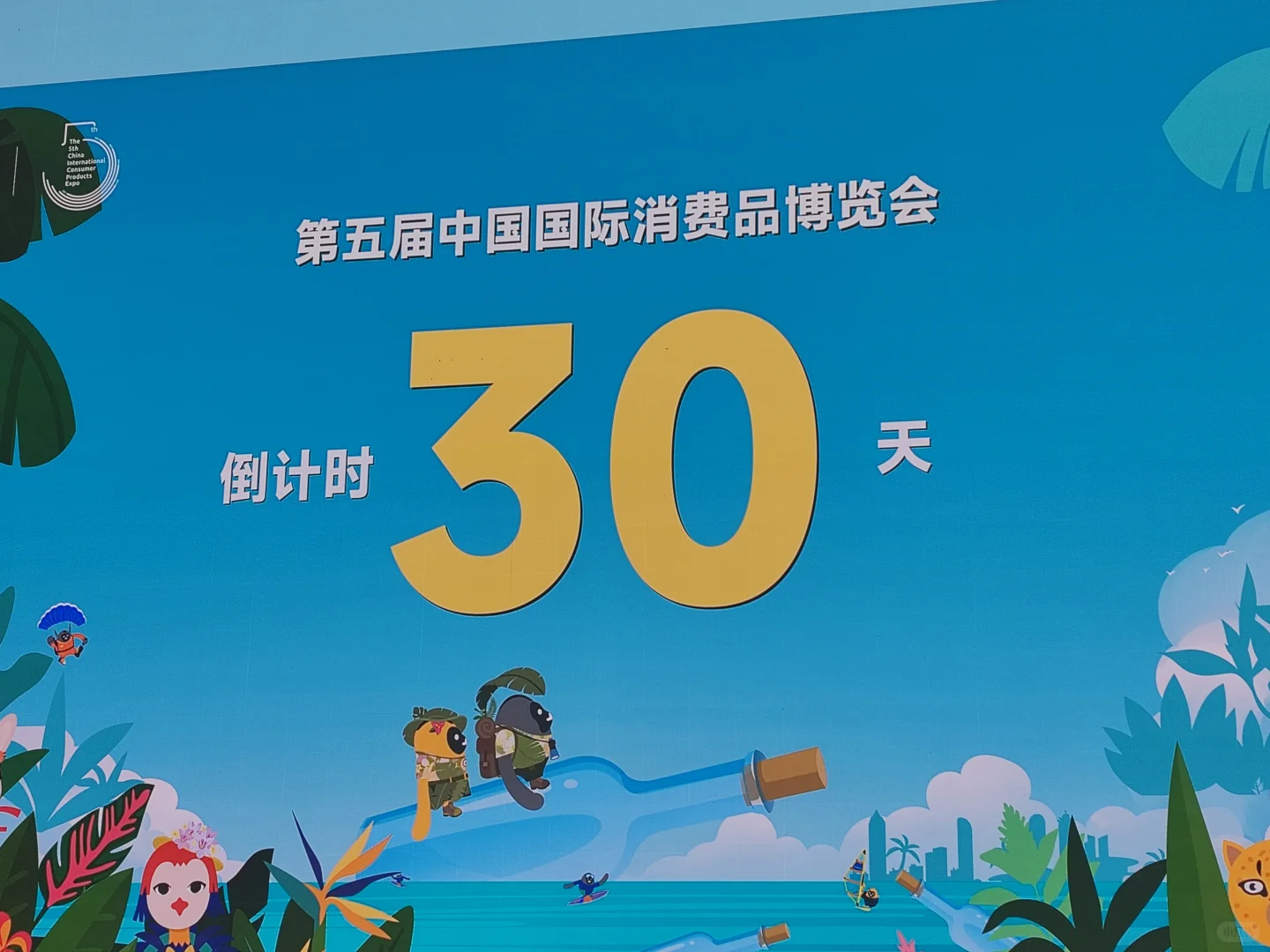 元元宵宵和它的朋友们见面了