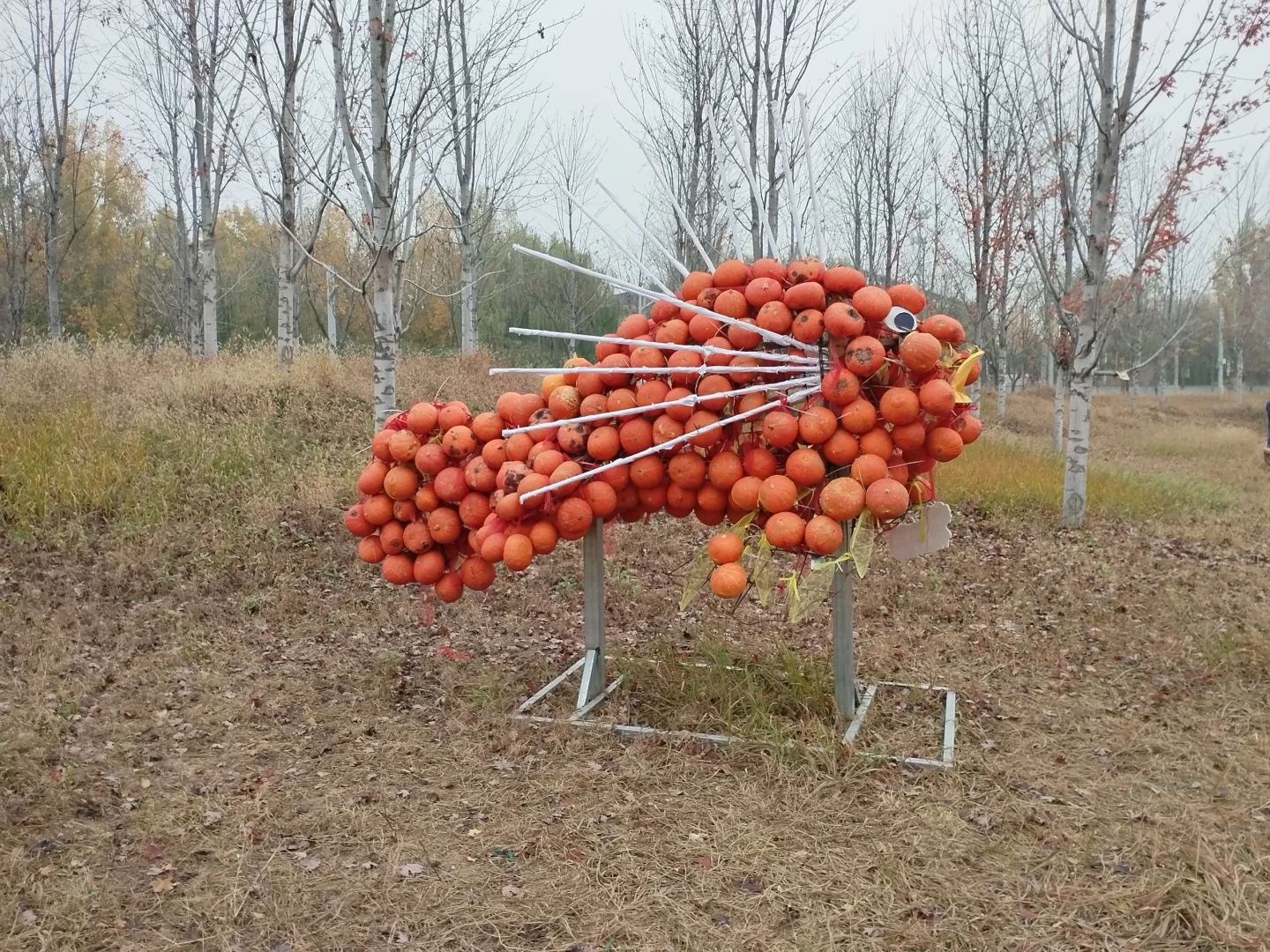 邯郸园博园南瓜王博览会