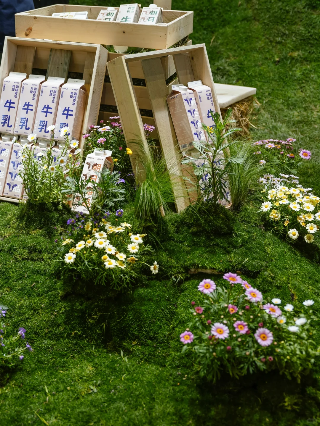 还得是朝日?竟把有机农牧场搬进Hotelex！！