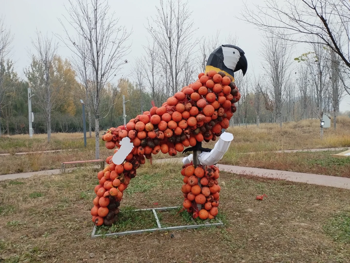 邯郸园博园南瓜王博览会