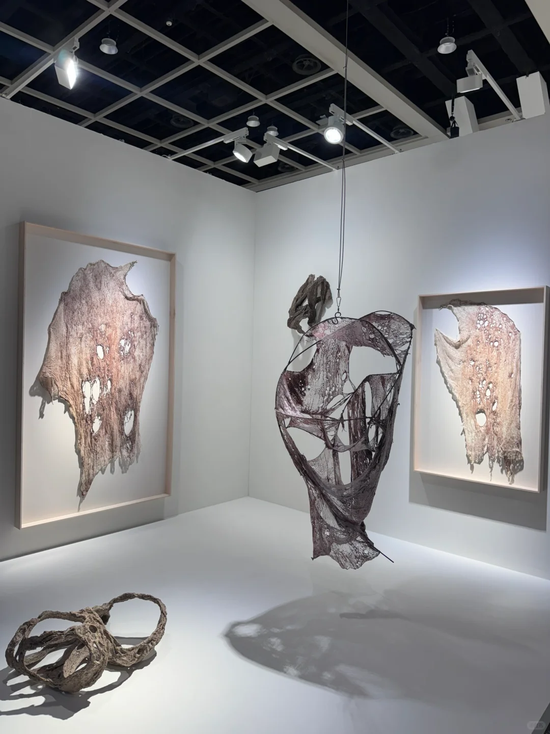 香港｜2025巴塞尔艺术展怎么逛❓附攻略✔️