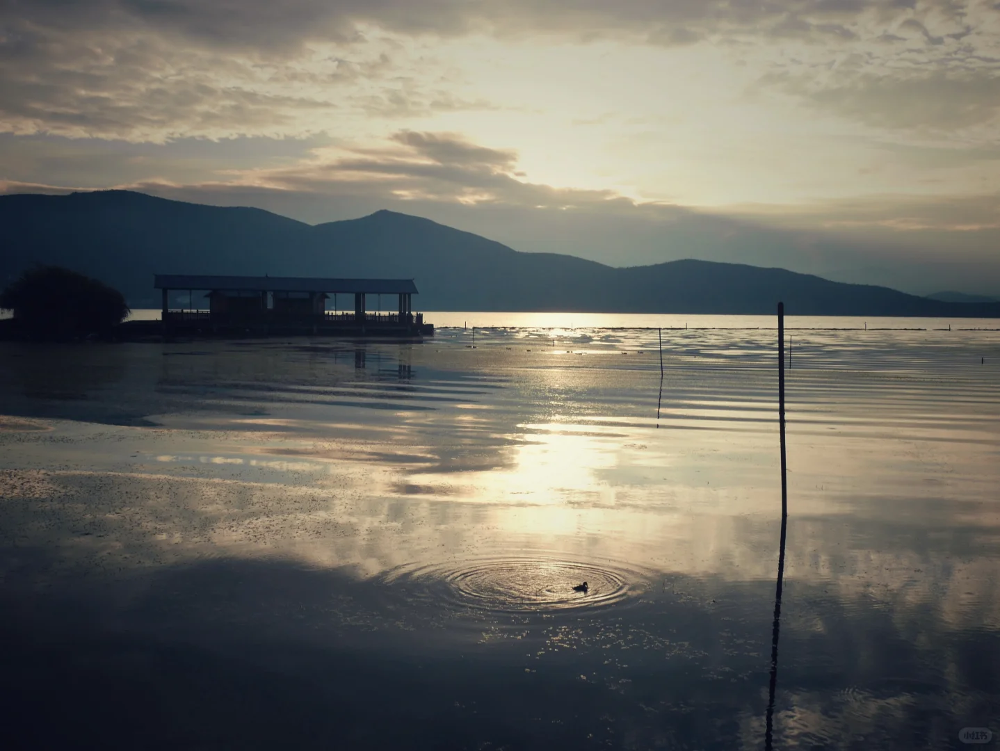 你将头发解开的动作，宛若要哭泣的面庞